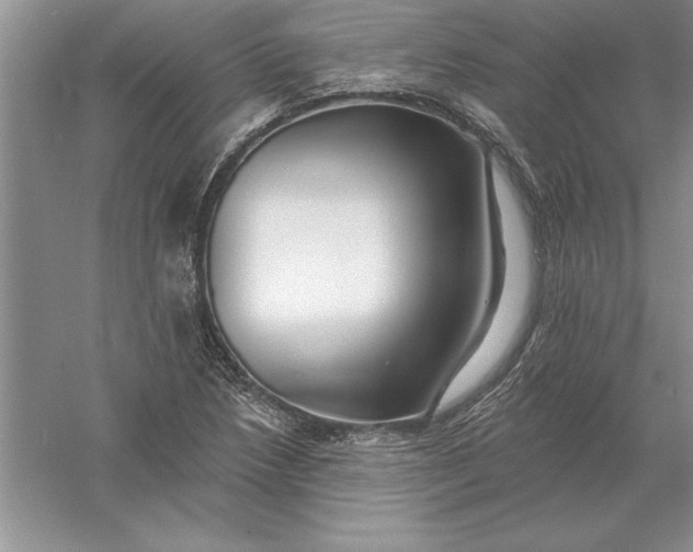 X0000055991218200509092010