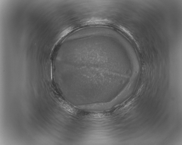 X0000055991219200509092011