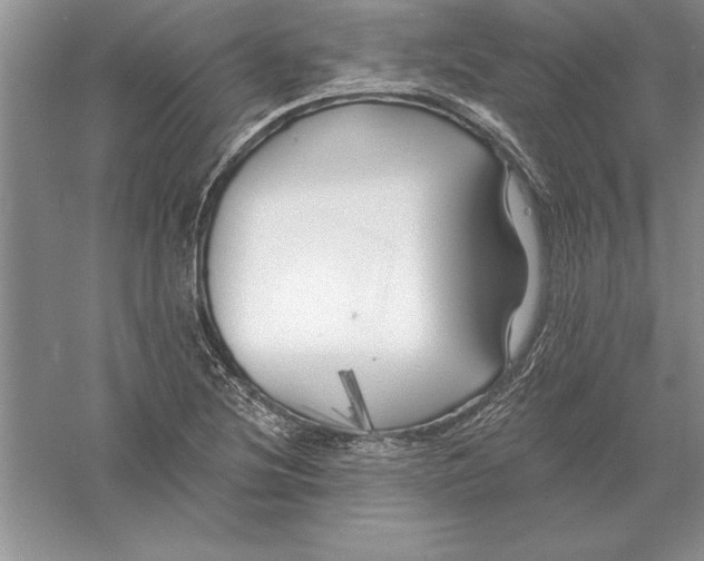 X0000055991220200509092011