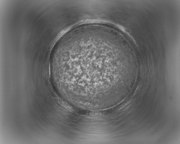 X0000055991221200509092011