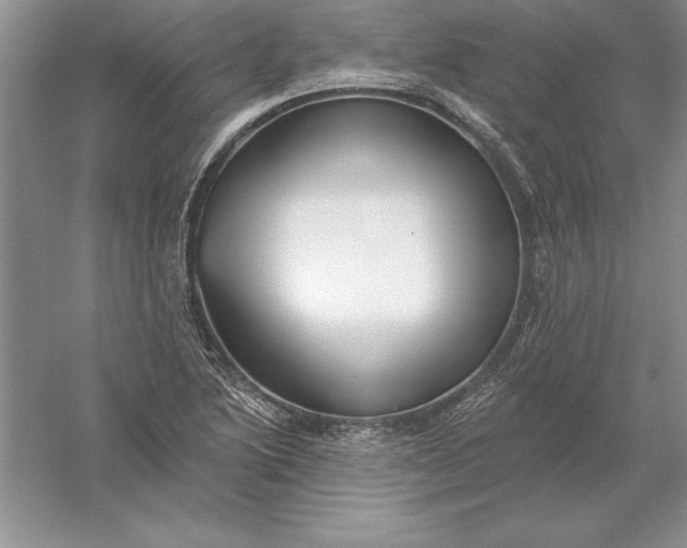 X0000055991222200509092011