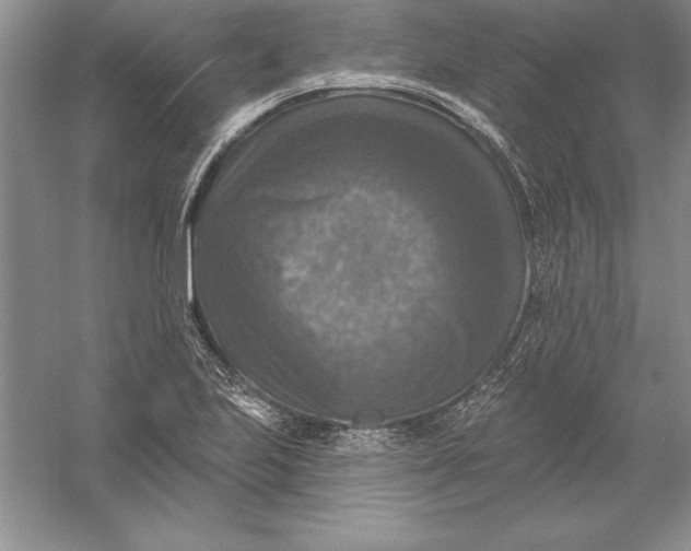 X0000055991223200509092011