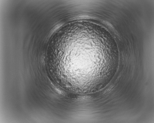 X0000055991225200509092011