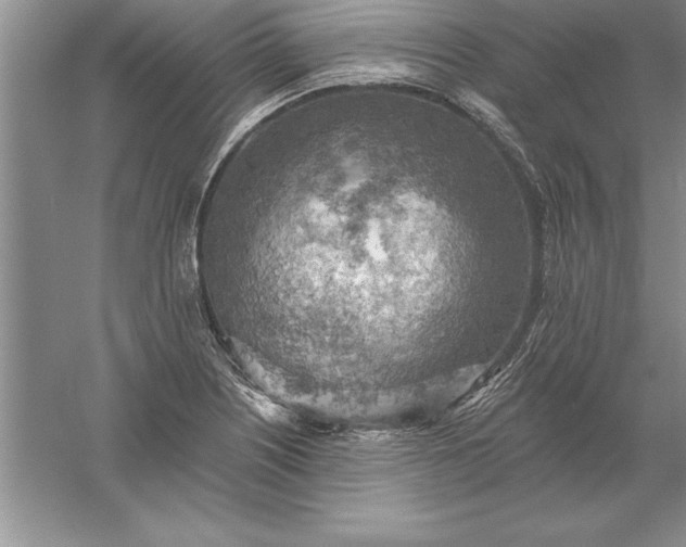 X0000055991226200509092011