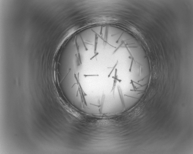 X0000055991227200509092011