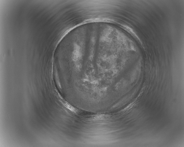 X0000055991228200509092011