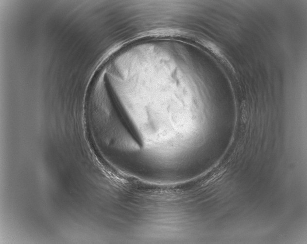 X0000055991229200509092011