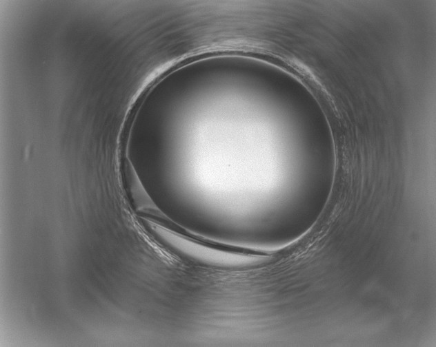 X0000055991230200509092011