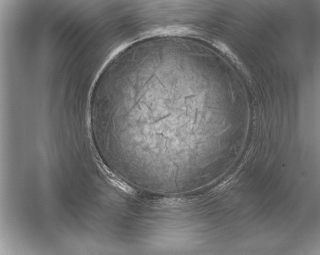 X0000055991232200509092011