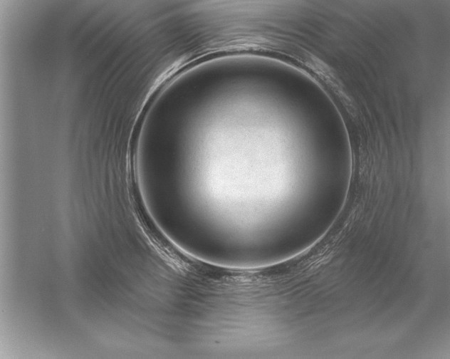 X0000055991234200509092011