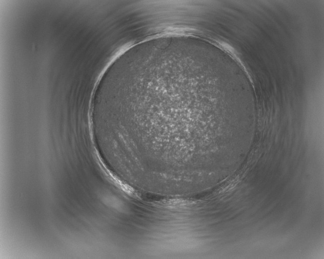 X0000055991235200509092011