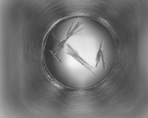 X0000055991236200509092011