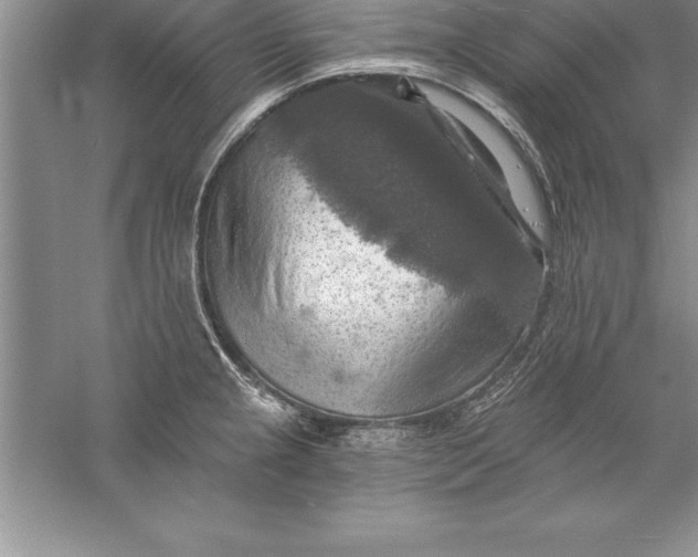 X0000055991237200509092011