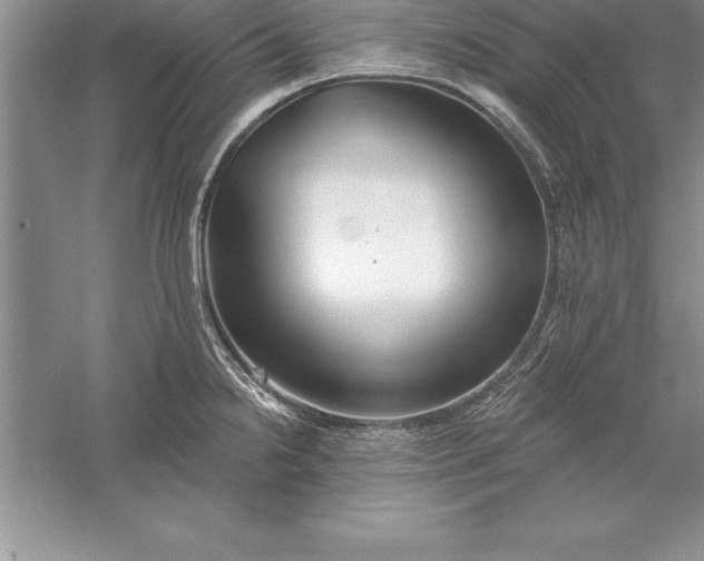 X0000055991238200509092011