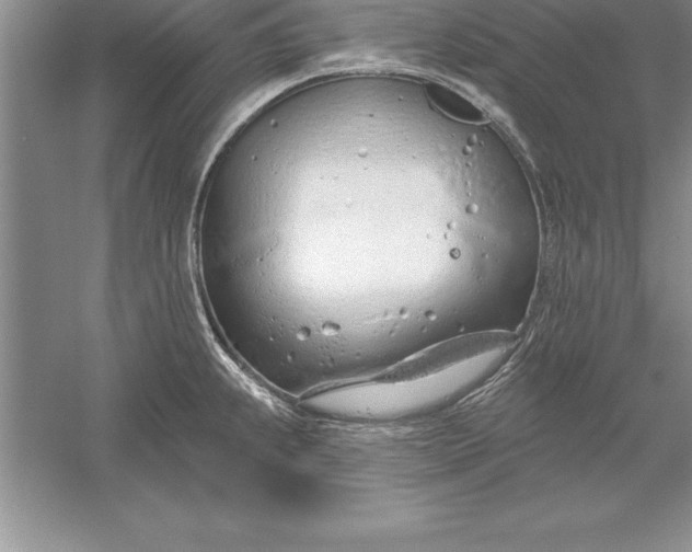 X0000055991239200509092011