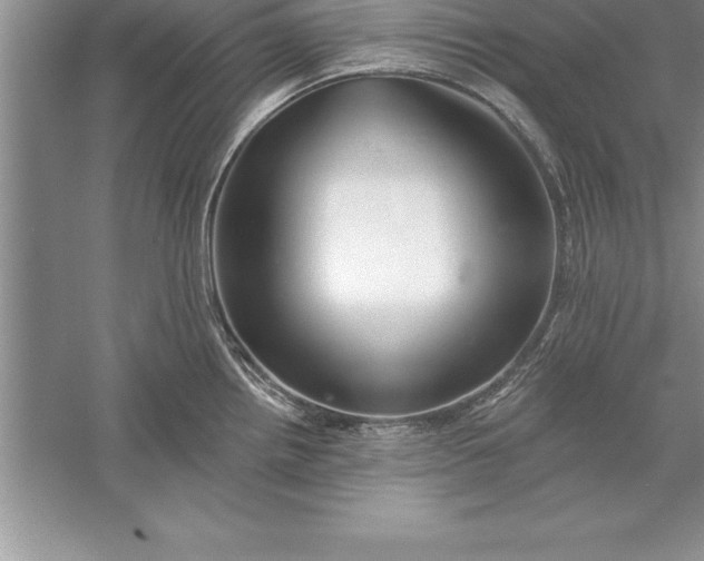 X0000055991242200509092011