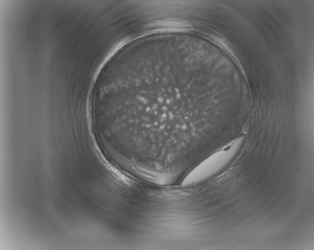 X0000055991243200509092011