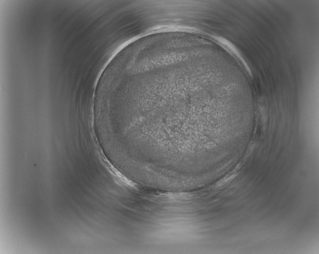 X0000055991244200509092011