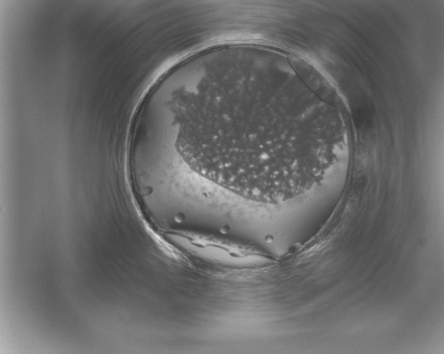 X0000055991245200509092011