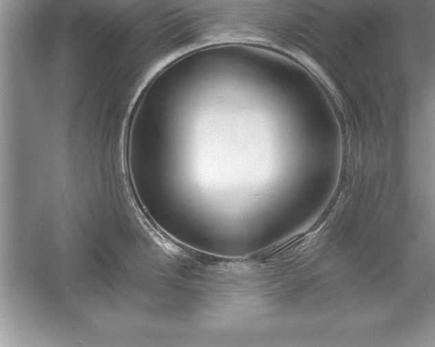 X0000055991246200509092011