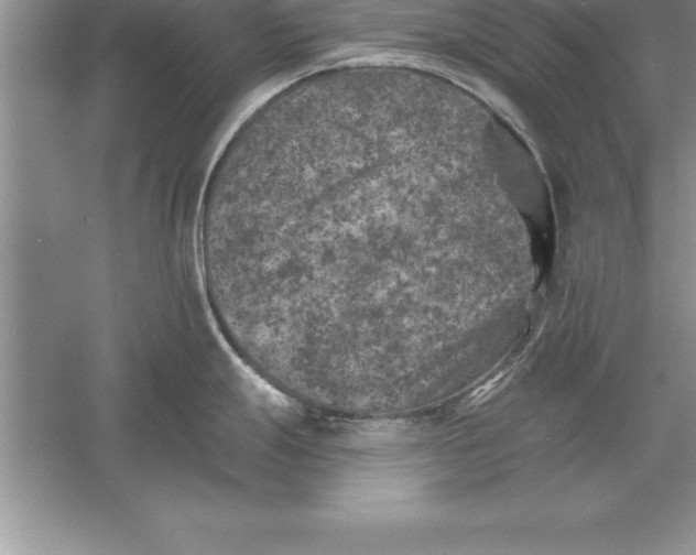 X0000055991247200509092011