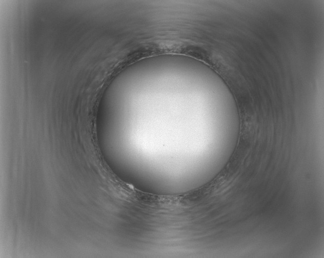 X0000055991249200509092010