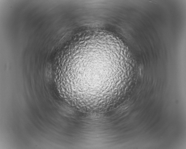 X0000055991251200509092010