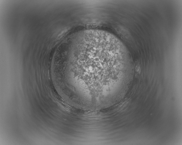 X0000055991252200509092010