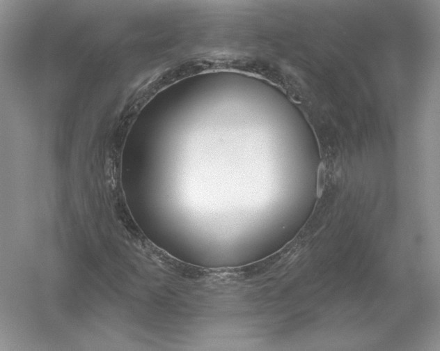 X0000055991253200509092010