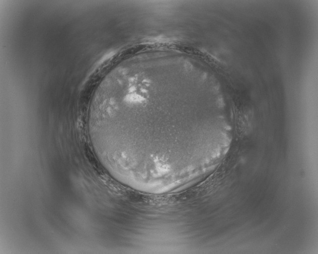 X0000055991254200509092010