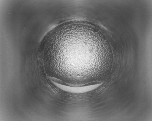 X0000055991255200509092010