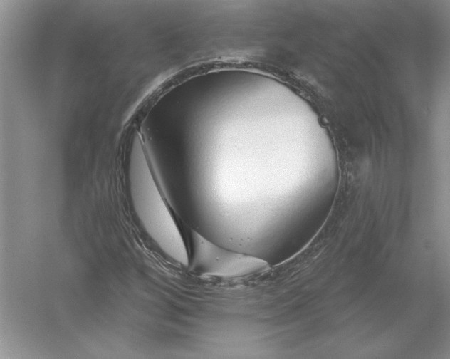 X0000055991256200509092010