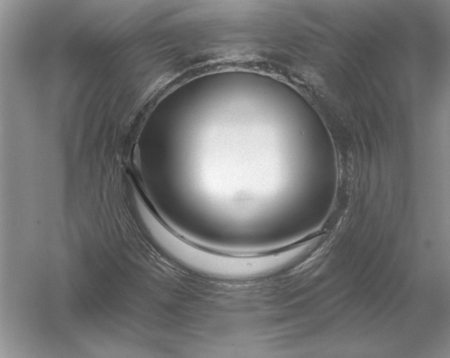 X0000055991257200509092010