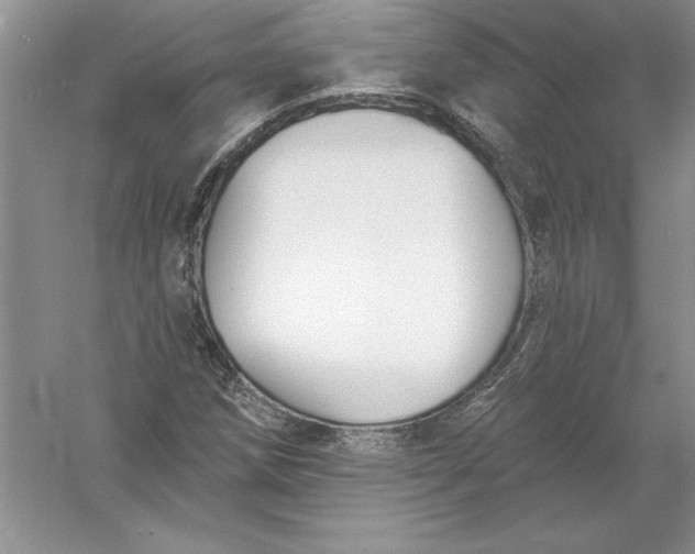 X0000055991258200509092010