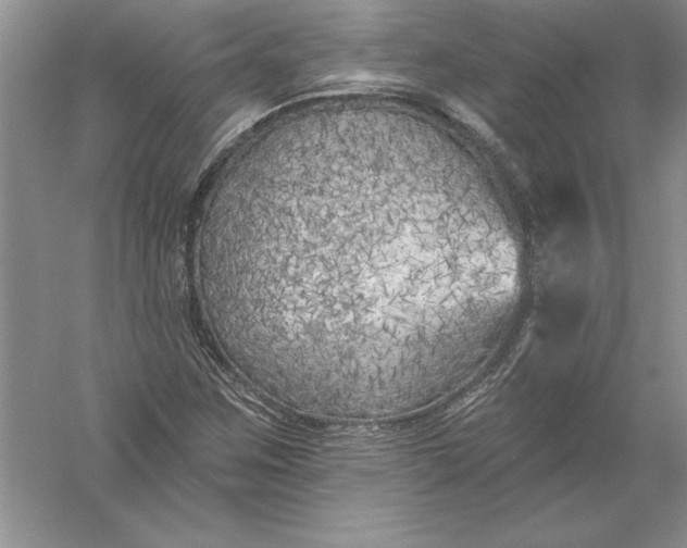 X0000055991259200509092010