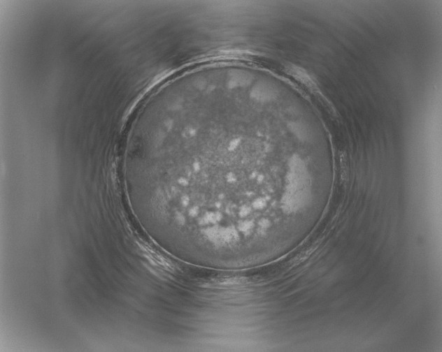 X0000055991260200509092010