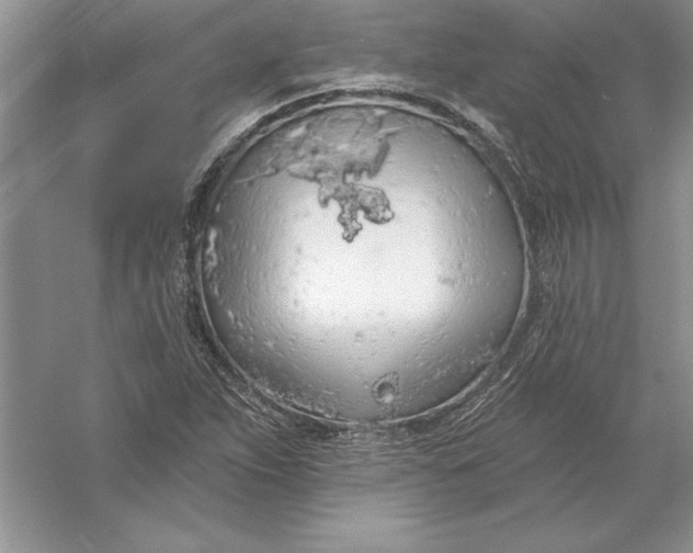 X0000055991263200509092010