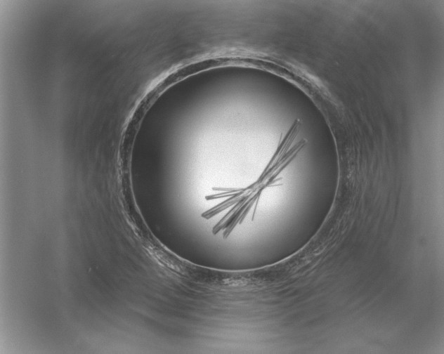 X0000055991264200509092010