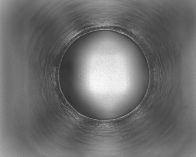 X0000055991265200509092010