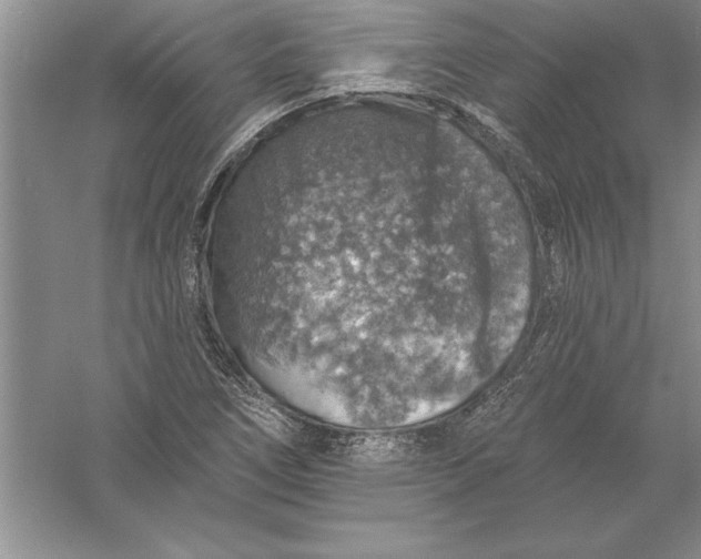 X0000055991266200509092010