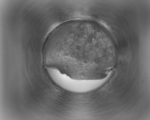 X0000055991267200509092010