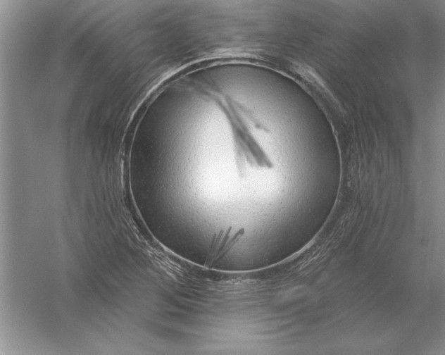 X0000055991268200509092010