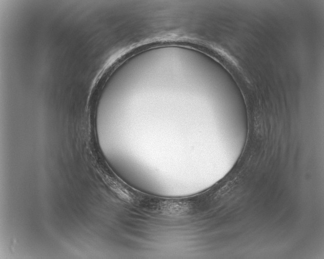 X0000055991270200509092010