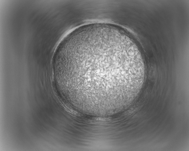 X0000055991271200509092010