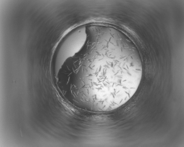 X0000055991272200509092010