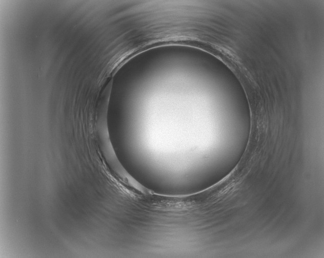 X0000055991273200509092010