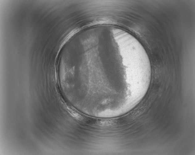 X0000055991274200509092010