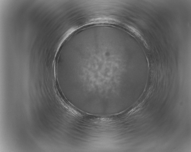 X0000055991275200509092010