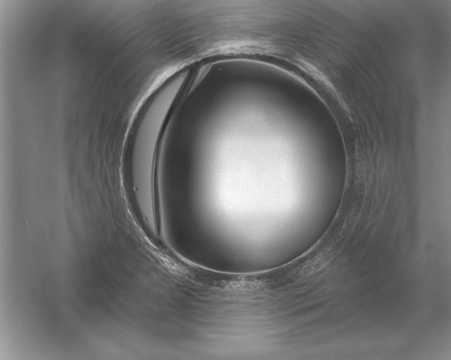 X0000055991277200509092010