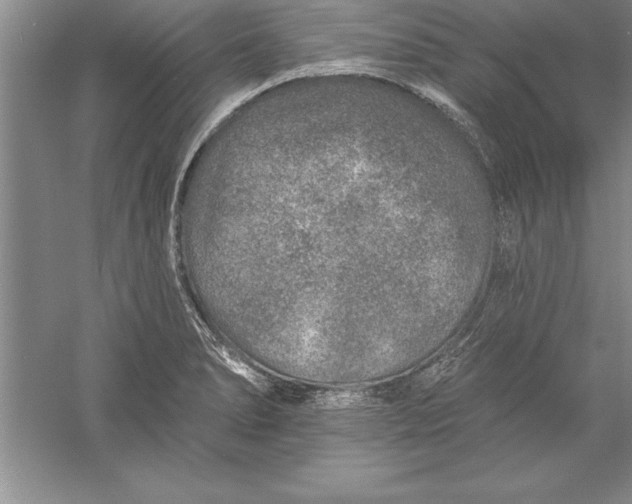 X0000055991278200509092010